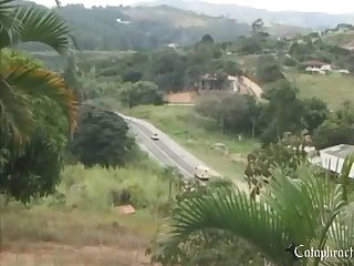 Animal Sex With Girls Porn Video