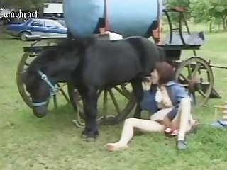 Animal Sex Online