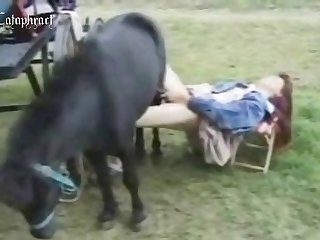 Animal Sex Online