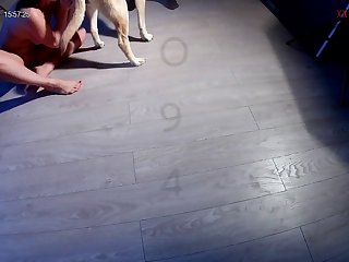 Porno Gay Con Animales
