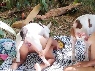 Porno Animales