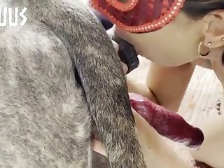 Pony Porn