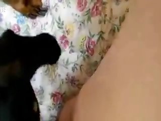 Homem Transando Com Animais