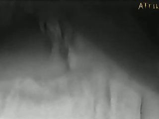 獣姦エロ動画