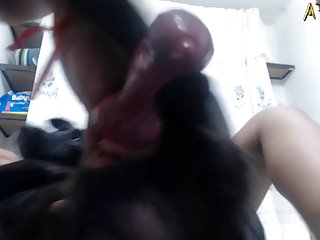 X Con Caballos K9