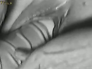 Porno Dog
