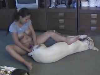 Caballo Porno