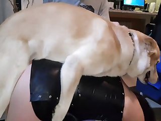 Max 2 Mount Short 1