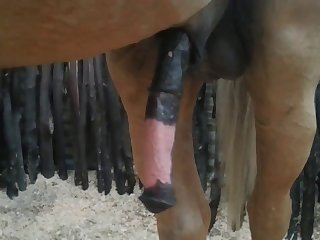 Nice 2 Beastforum Geles Masturbation