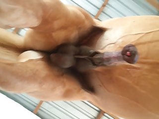 Under Horse Another Beastforum Geles Masturbation