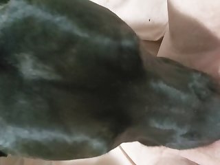 Bbw Eaten