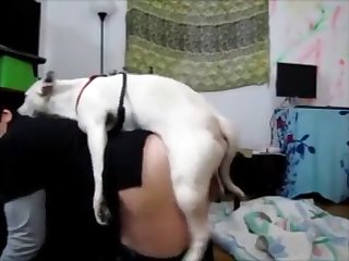 Mostrecenttweekhumpwithcumdrip