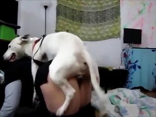 Mostrecenttweekhumpwithcumdrip