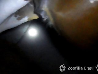 Zoofilia Brasil Video 0001