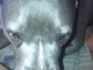 Amateur Self Shot 05 2020 1