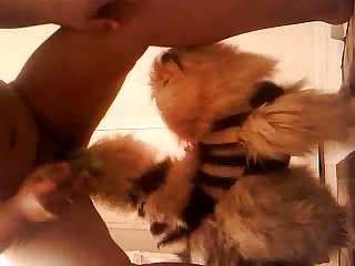 Fun With The Doggang