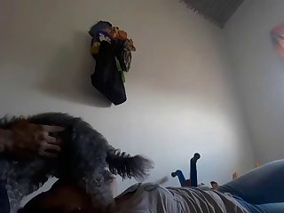 Short Clip Of A Woman Sucking Her Dog And Show The Load