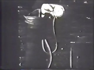 Stallion Ejaculation Mechanism