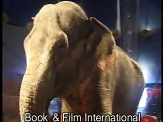 Onlyfan Leak Website