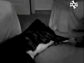 Inke Taking Inke 2.00x 642x480 Alq 12 3 004