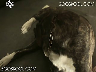 Inke Howl For Love 2.00x 1536x1152 Alq 12 1 004