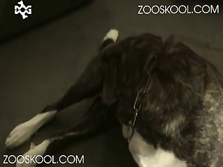 Inke Howl For Love 2.00x 1536x1152 Alq 12 1 004