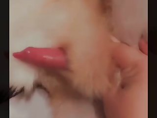 Video Jun 02 7 54 21 Pm 001