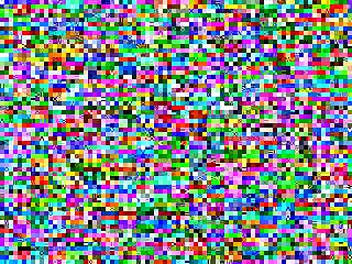 . Dog Curled Up And Rested At My Feet