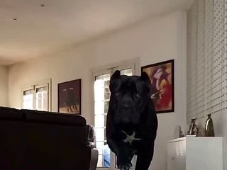 She Turned Around And Walked Over To The Yoga Mat