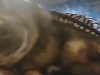 Dog Make Out German Shepherd Kiss