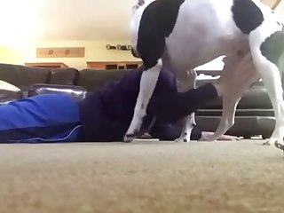 Dog Kisses Twink