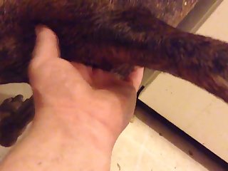 Img 2319.mov