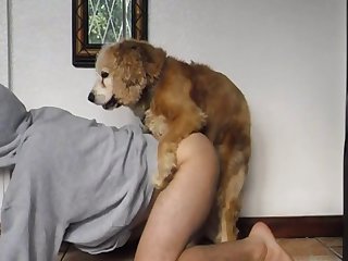 Knotted Kissing Aluzky