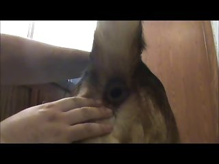 Tailtube2.wmv