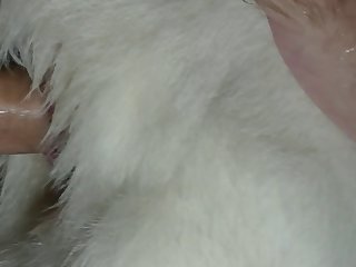 Stud Creampie