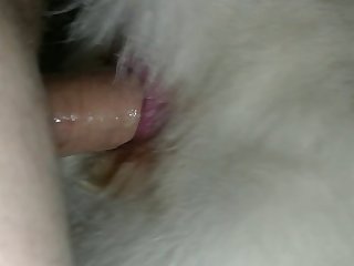 Stud Creampie