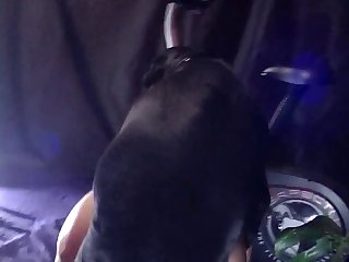 Porn Animal And Human