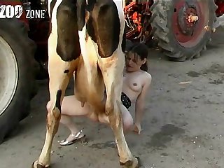 Last Animal Porn