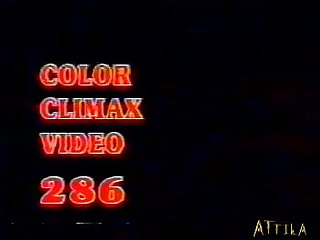 Impregnated By Animal Porn