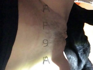 Porn Animal Bdsm