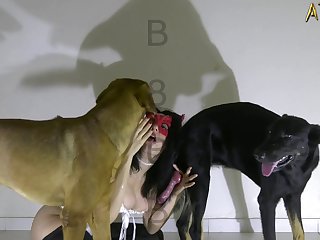Isabella Porn Animal