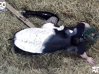 Animal Have Sex With Women
