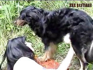 Animal Crossing Raymond Gay Sex