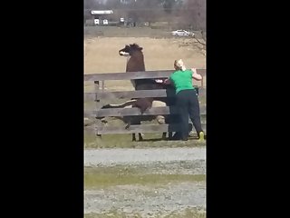14.lama Fucking Goat