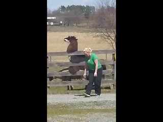 14.lama Fucking Goat