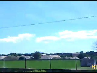 38.bull Fucking Horse