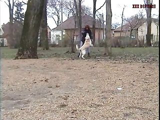 Animal Sex For Man