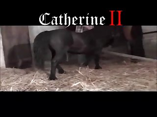 Animal Furry Porn Comic