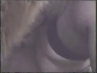 Pokemon Porn Animal