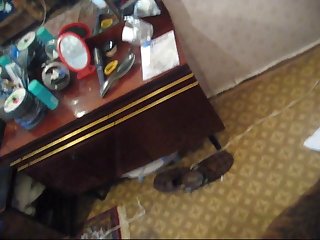 Paginas Videos Zoofilia